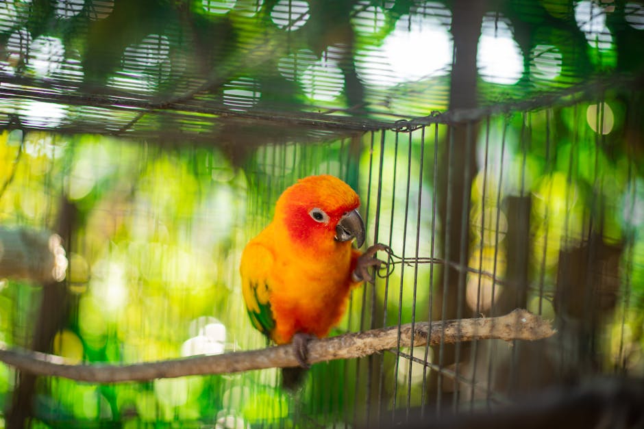 A brightly colored parrot with orange, yellow, and green feathers sits on a branch inside a wire cage with greenery in the background.