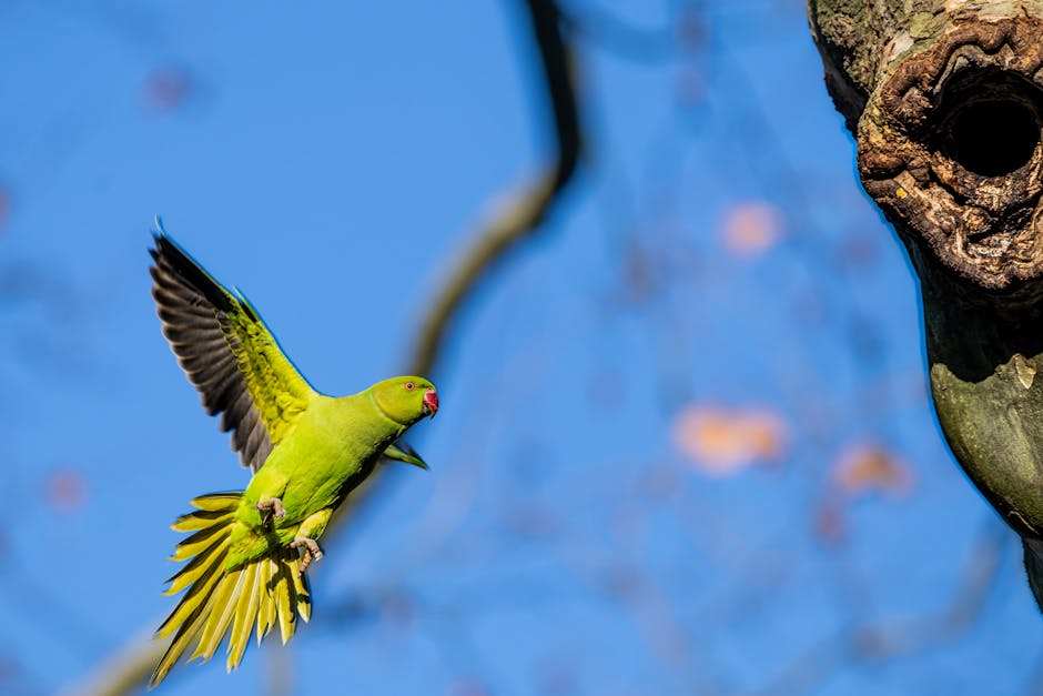 A green parrot with outstretched wings flies toward a tree trunk with a hole, against a blue sky background.