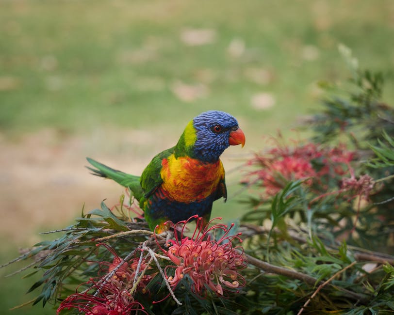 A rainbow lorikeet with vibrant blue, green, yellow, and orange feathers perches on a branch with pink flowers, against a blurred natural background.
