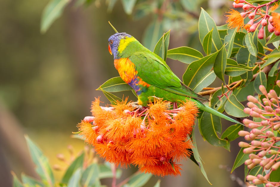 A rainbow lorikeet with vibrant green, blue, orange, and yellow feathers perches on a branch with bright orange flowers and green leaves.