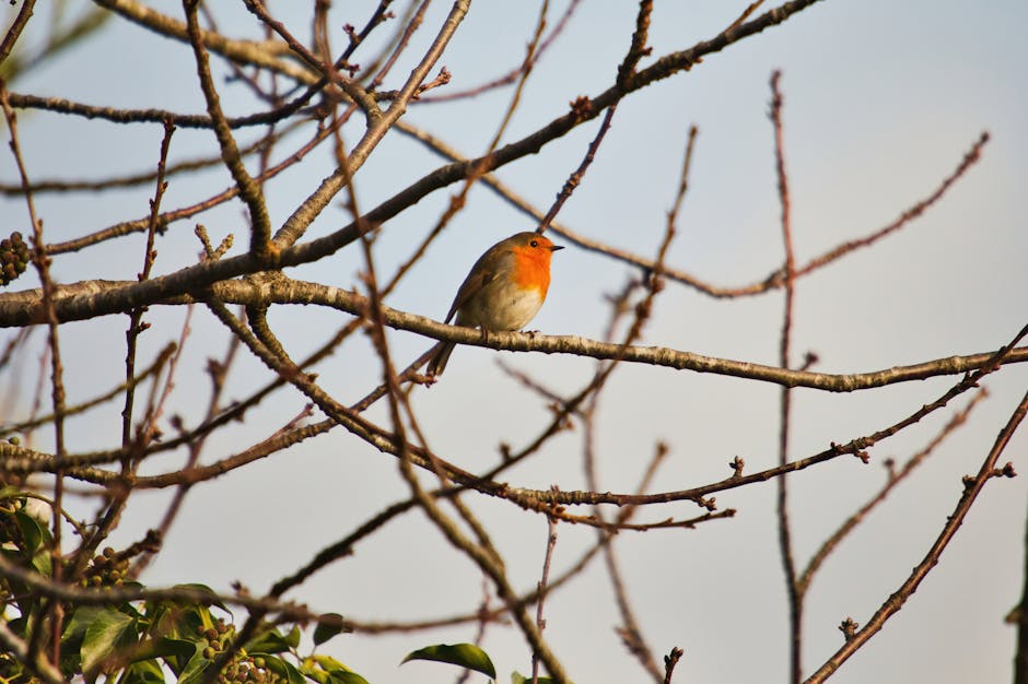 A small bird with an orange chest perches on a bare tree branch against a pale sky background.