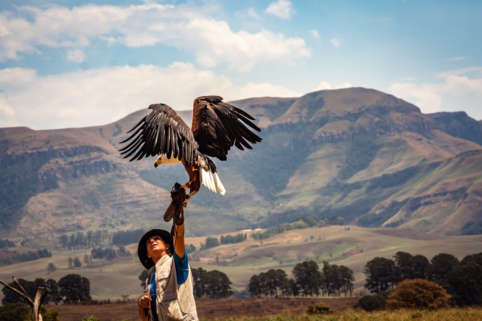 A person wearing a hat holds a large bird of prey on their gloved arm outdoors, with mountains and trees visible in the background.
