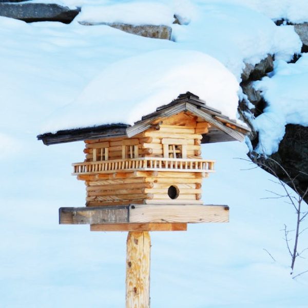 A wooden birdhouse on a post is covered with snow, set against a snowy outdoor background with rocks and bare branches.