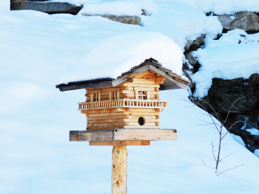 A wooden birdhouse on a post is covered with snow, set against a snowy outdoor background with rocks and bare branches.