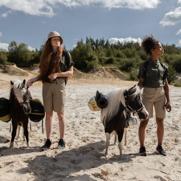 Two people in outdoor attire stand on sandy ground, each holding a miniature horse equipped with saddlebags, with trees and a blue sky in the background.